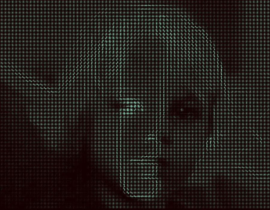 HOG Gradients, applied to “Monochrome child castlecrag (Unsplash)”