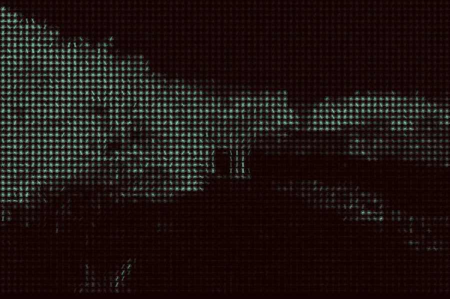 HOG Gradients, applied to “Horse in the falling snow (Unsplash)”