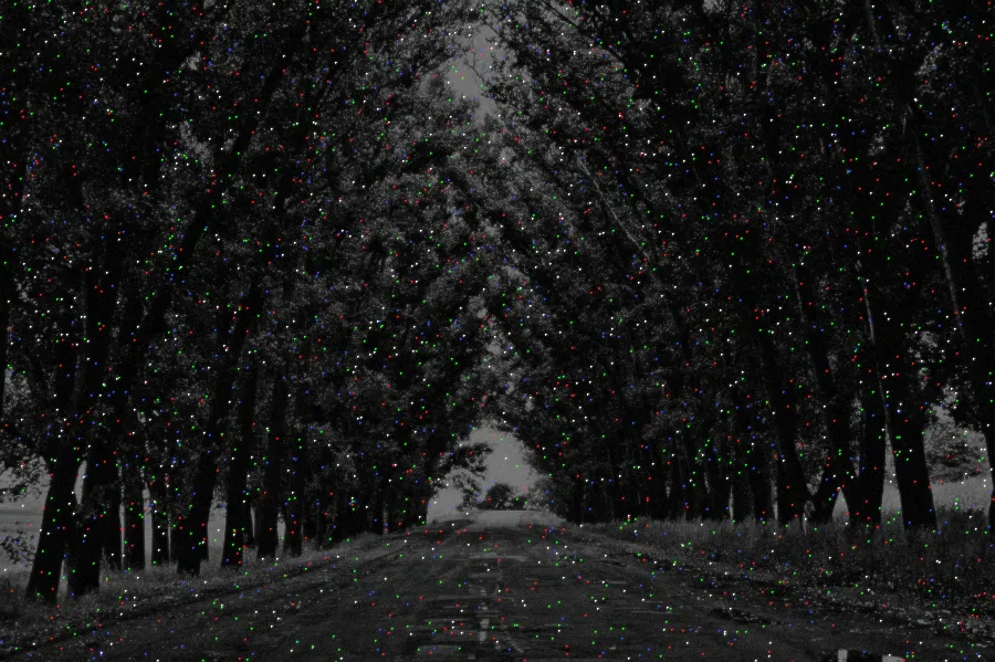 Hot Pixel Noise, applied to “BwTreeLinedRoad(byPavelVoinov)”