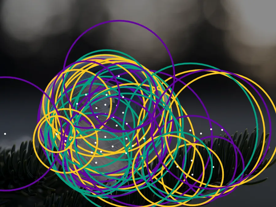 Hough Circle Transform, applied to “Frozen soap bubble behind fir twigs (Unsplash BojuZpqw4zM)”