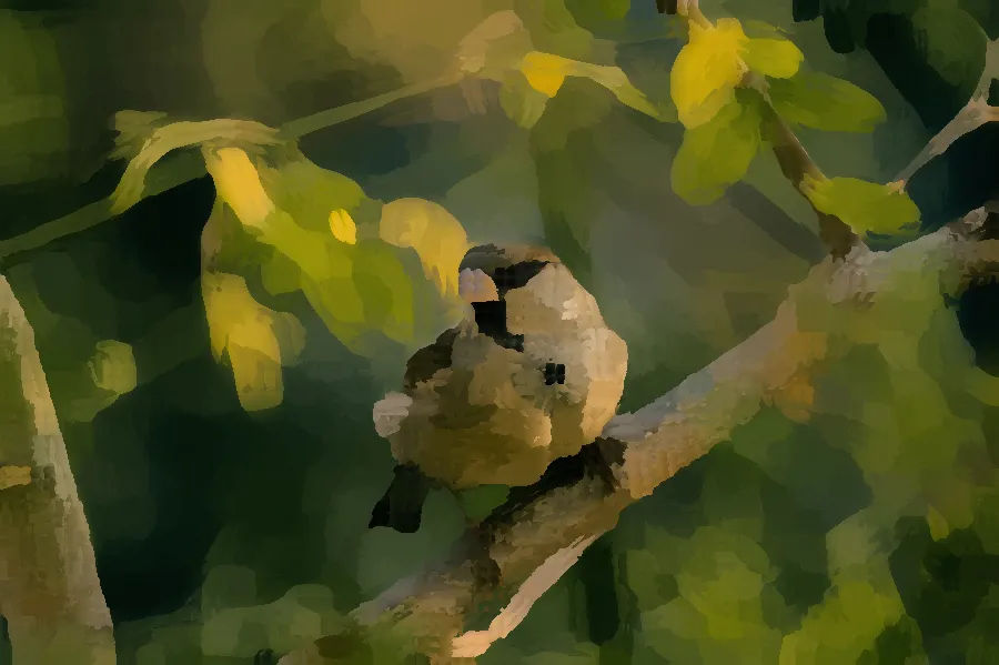 Kuwahara Filter, applied to “Bird on branch (Unsplash)”