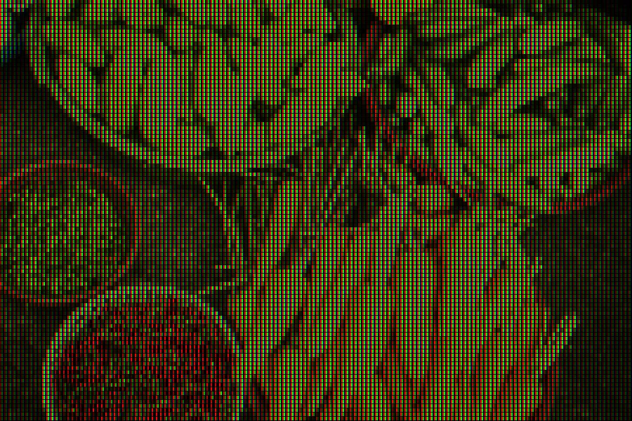 LCD Subpixel View, applied to “Ho Chi Minh City, Vietnam (Unsplash xMh ww8HN Q)”