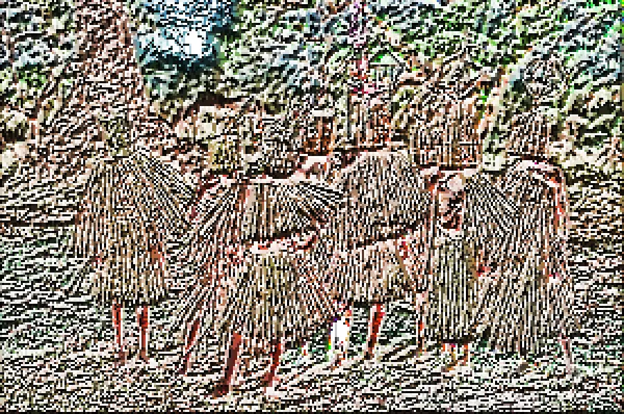 Local Binary Pattern, applied to “Initiation ritual of boys in Malawi”