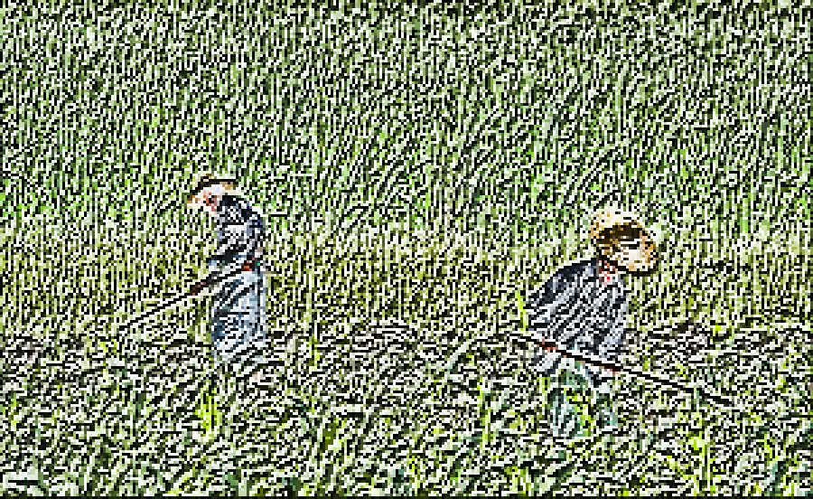 Local Binary Pattern, applied to “Rolnicy nad Jeziorem Inle w Mjanmie, 20160806 8493”