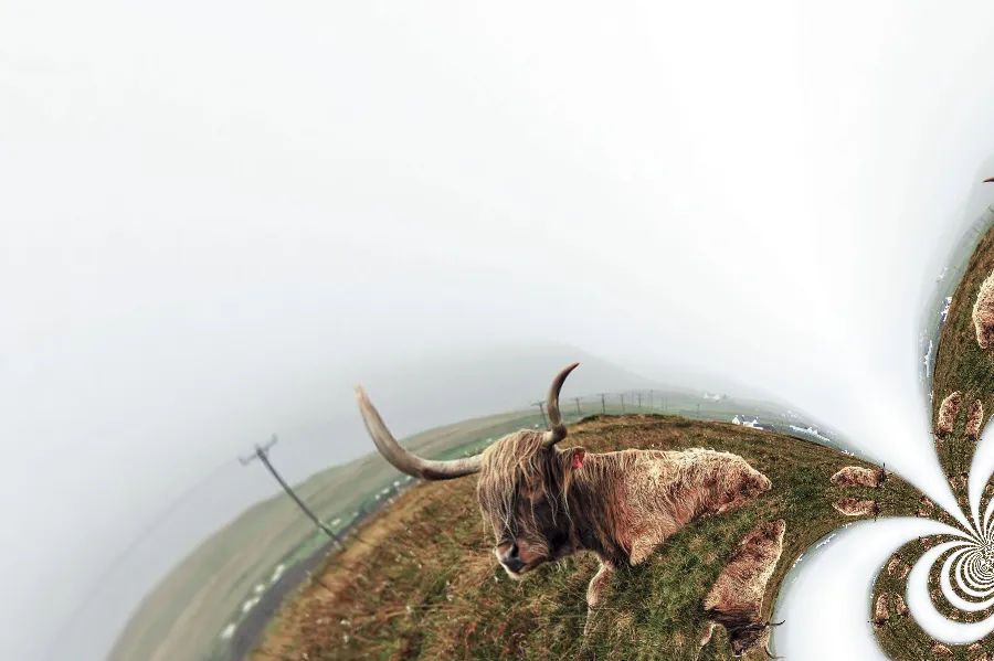 Möbius Transformation, applied to “Cattle In The Pasture (Unsplash)”