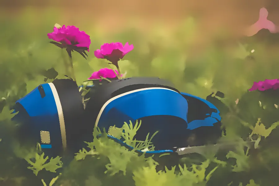 Mean Shift Segmentation, applied to “Music and flowers (Unsplash)”