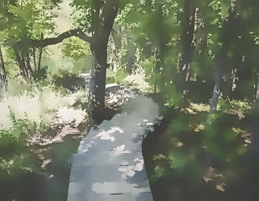 Mean Shift Segmentation, applied to “Forest boardwalk (Unsplash)”
