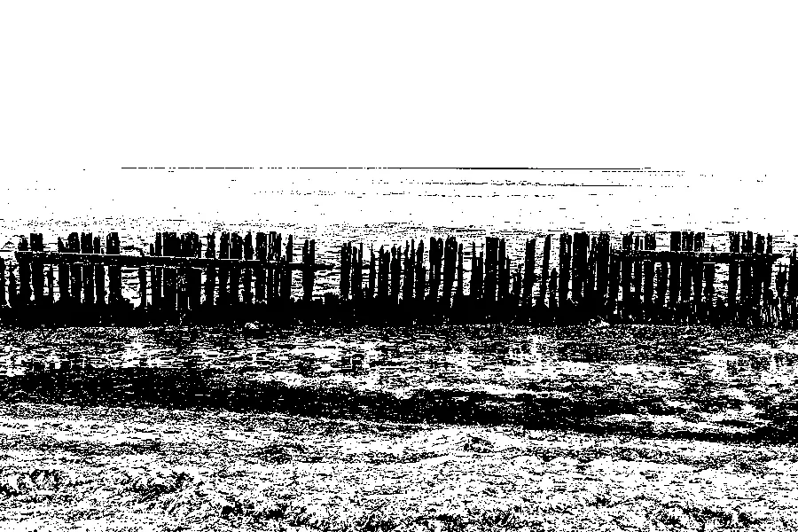 Otsu Binarization, applied to “Waddenzee achter de zeedijk bij Paesens-Moddergat. 17-09-2024. (d.j.b) 06”
