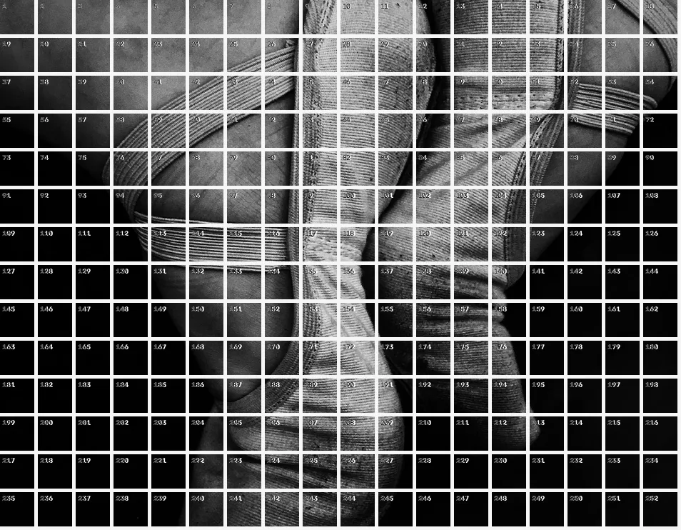 Patch Tokenization Grid, applied to “Monochrome Ballet Feet (Unsplash)”