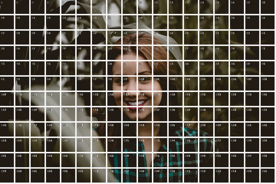 Patch Tokenization Grid, applied to “Smiling in a cornfield (Unsplash)”