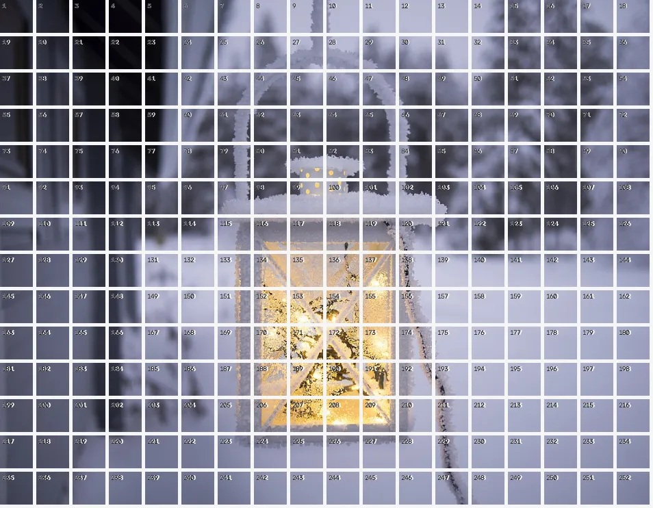 Patch Tokenization Grid, applied to “Icy world (Unsplash)”