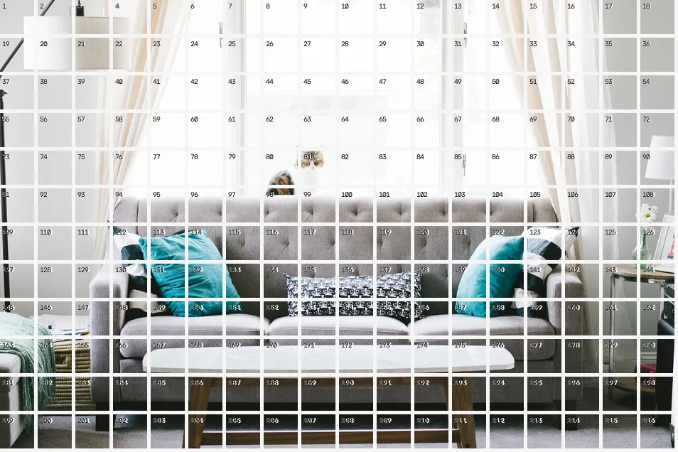 Patch Tokenization Grid, applied to “Cat with window in wooster (Unsplash)”