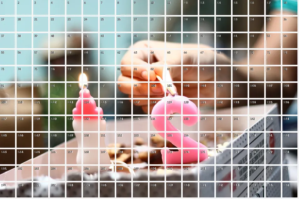 Patch Tokenization Grid, applied to “Aileni Tee 2016-11-27 (Unsplash)”