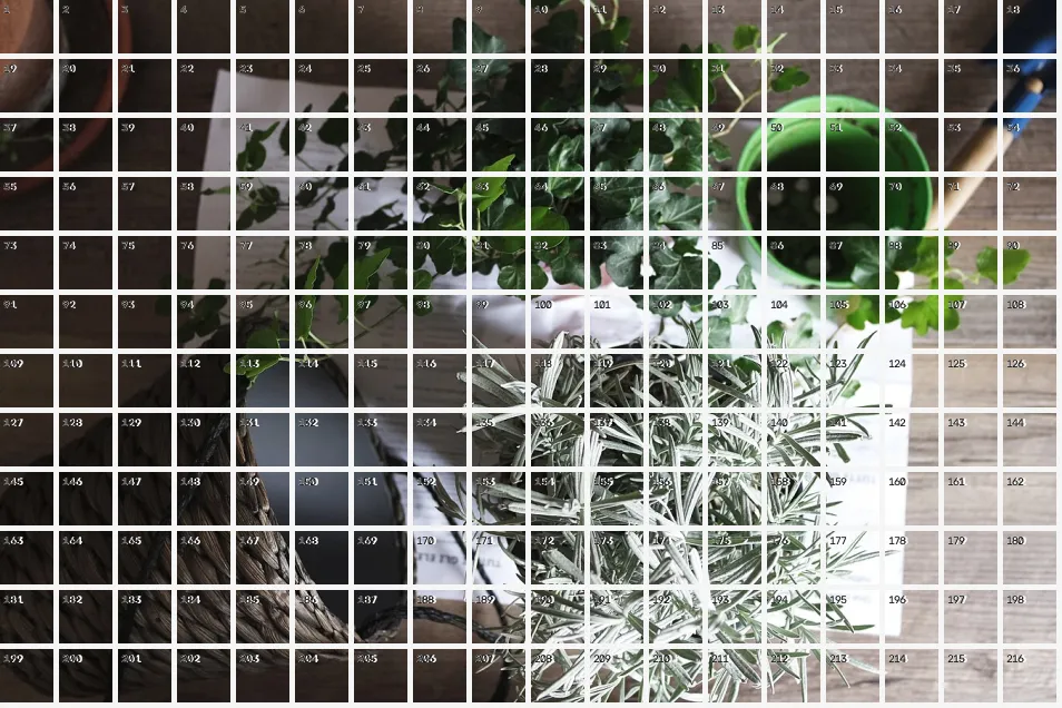 Patch Tokenization Grid, applied to “Gardening Supplies (Unsplash)”