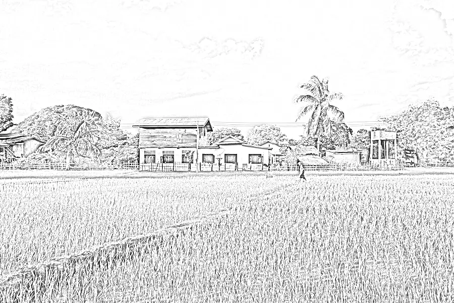 Pencil Sketch, applied to “Grey clouds over the luminous paddy fields in Don Det”