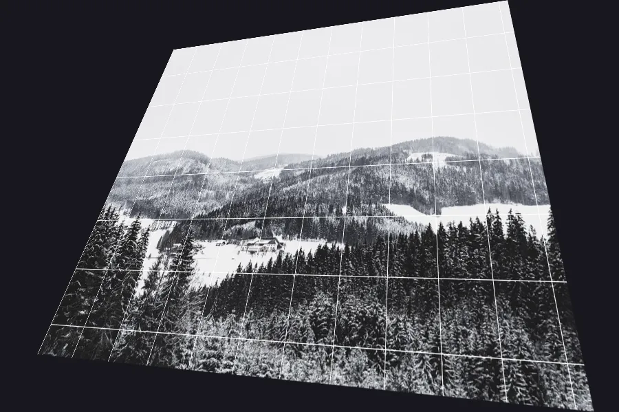 Perspective Warp, applied to “Forest trees in the snow (Unsplash)”