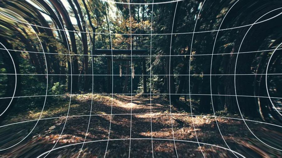 Pincushion Distortion, applied to “Forest gateway (Unsplash)”