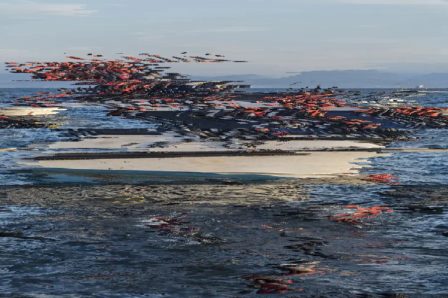Scanline Displacement, applied to “20151030 Syrians and Iraq refugees arrive at Skala Sykamias Lesvos Greece 2”