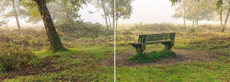 Split Toning, applied to “Wandelen over de Planken Wambuis vanuit Mossel 43”