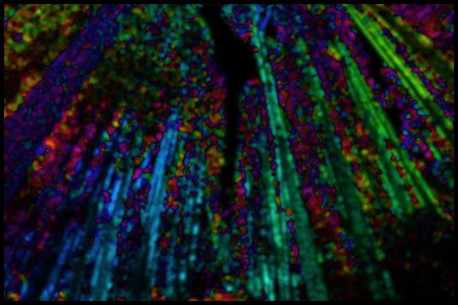 Structure Tensor Orientation, applied to “Tall tree corridor (Unsplash)”