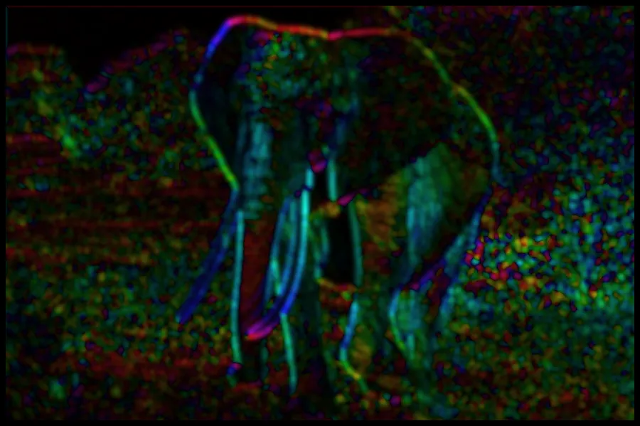 Structure Tensor Orientation, applied to “Elephant walking in the afternoon sun (Unsplash)”