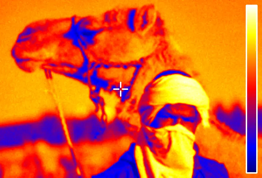 Thermal False Color, applied to “Le chamelier”