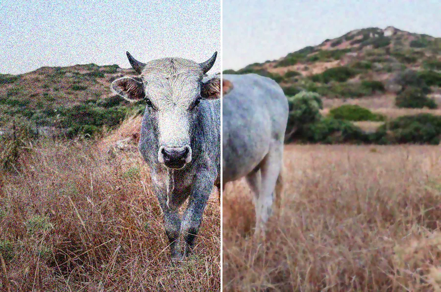 Total Variation Denoising, applied to “Samuel Zeller 2015-04-30 (Unsplash CwkiN6 qpDI)”