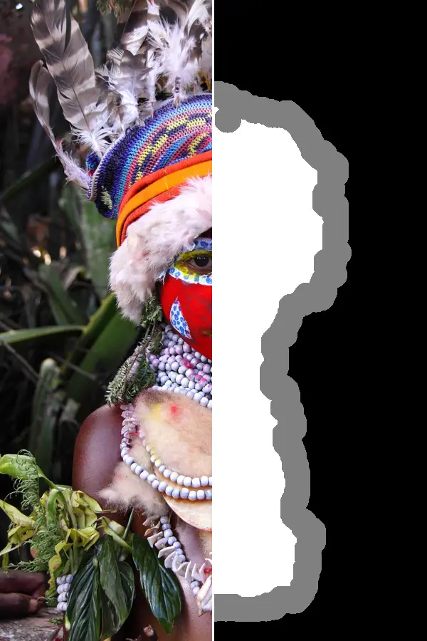 Trimap, applied to “Mount Hagen Cultural Show, Papua New Guinea, 2009”