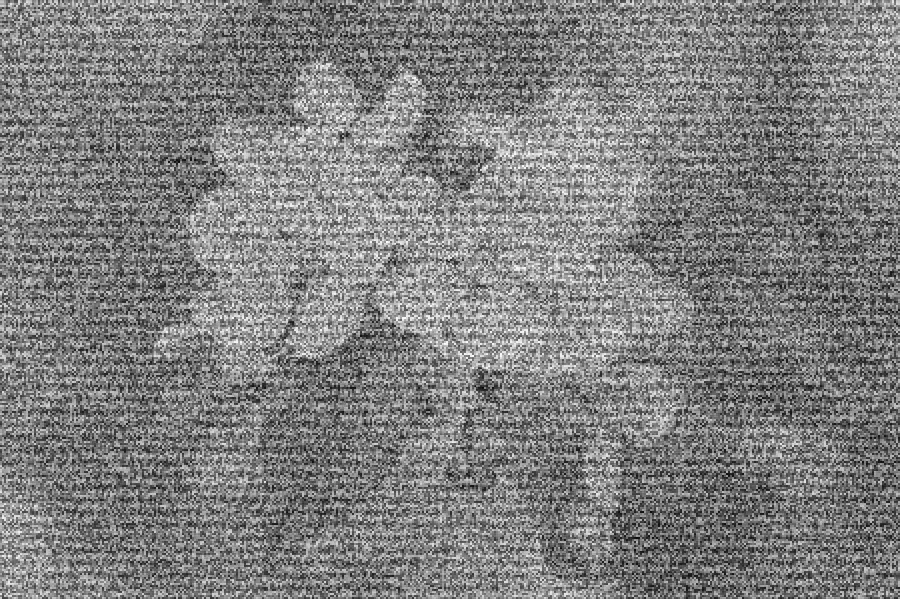 TV Static Snow, applied to “Flowers (Unsplash 4kX1uoAAohY)”