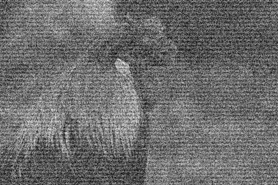 TV Static Snow, applied to “Barnyard Animal (Unsplash)”