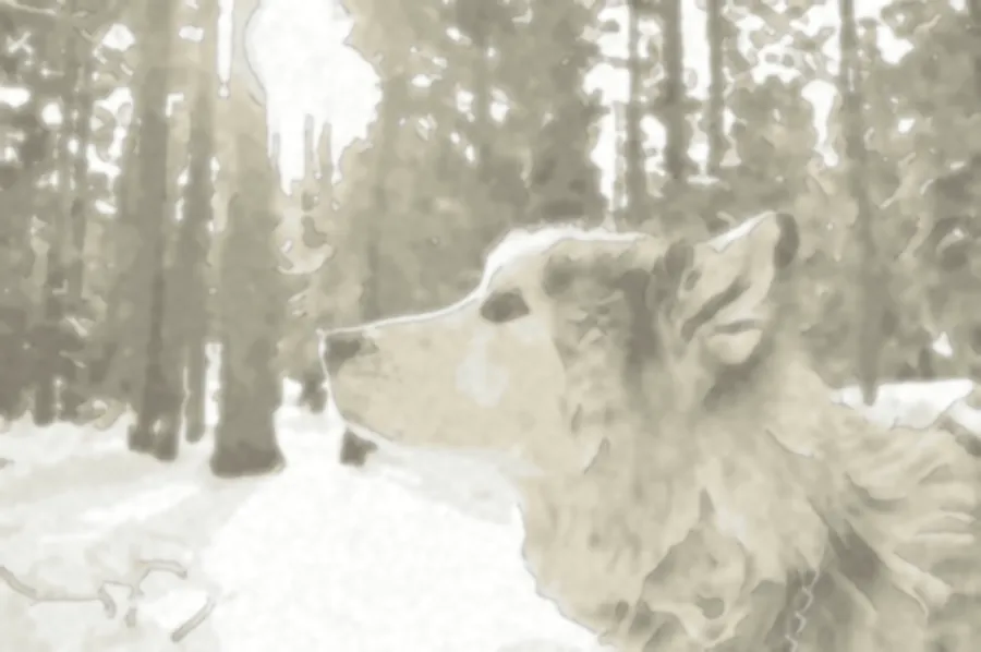 Watercolor Wash, applied to “Dog in a snowy forest (Unsplash)”
