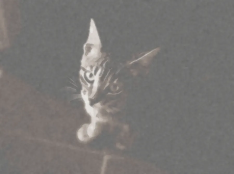 Watercolor Wash, applied to “Cat greeting its owner (Unsplash)”