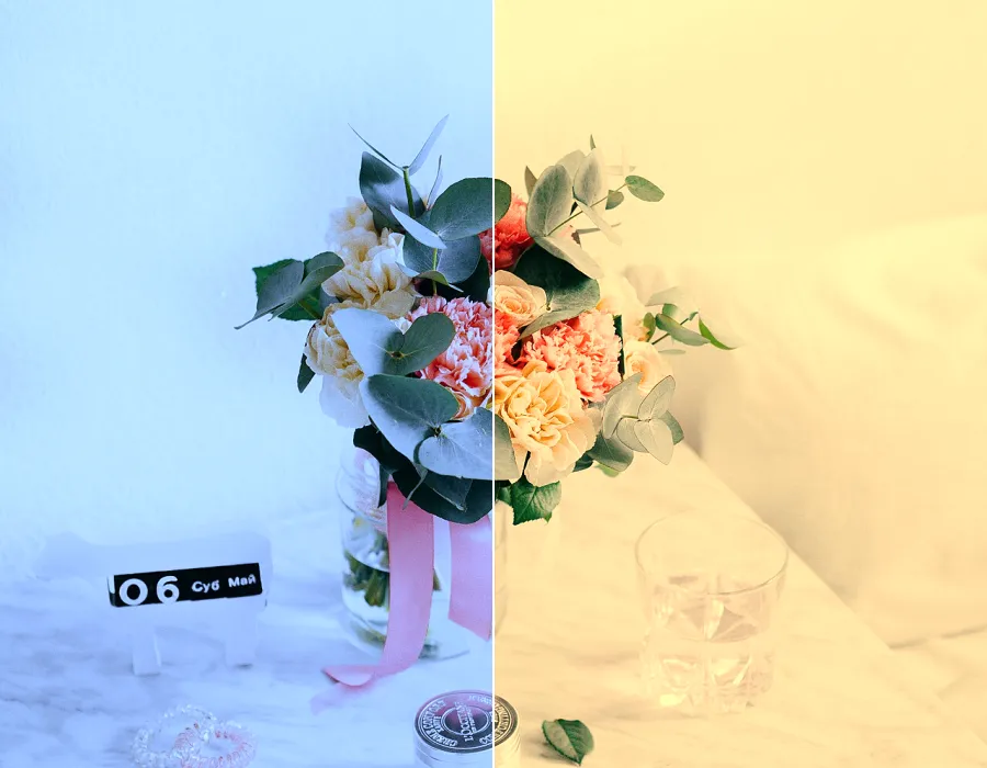 White Balance Shift, applied to “Flowers 1 (Unsplash)”