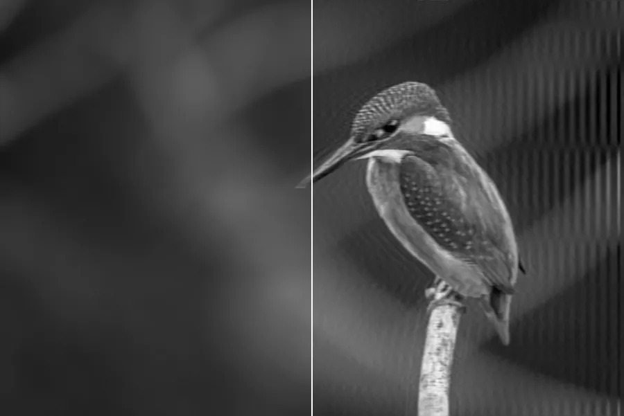 Wiener Deblurring, applied to “Perched blue and orange bird (Unsplash)”