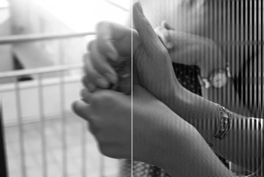 Wiener Deblurring, applied to “Girl holds bird (Unsplash)”